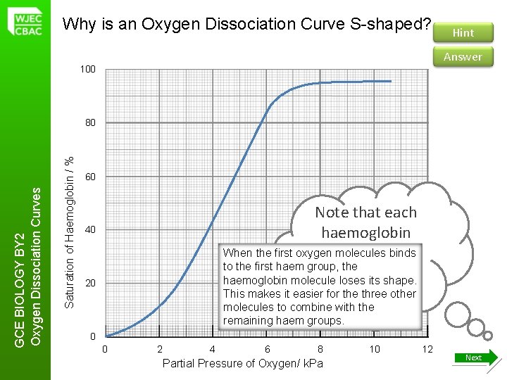 Why is an Oxygen Dissociation Curve S-shaped? Hint Answer 100 Saturation of Haemoglobin /