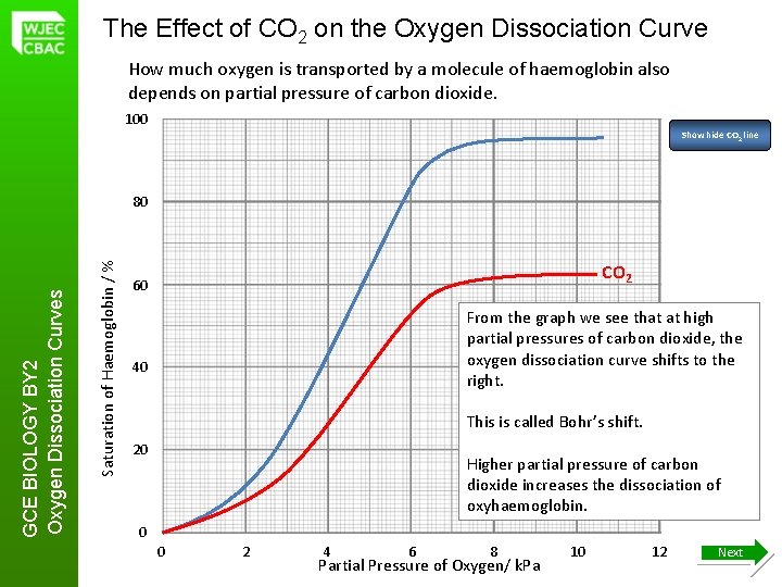 The Effect of CO 2 on the Oxygen Dissociation Curve How much oxygen is