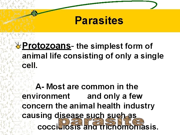 Parasites Protozoans- the simplest form of animal life consisting of only a single cell.