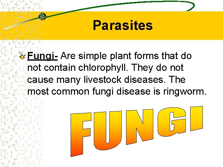 Parasites Fungi- Are simple plant forms that do not contain chlorophyll. They do not