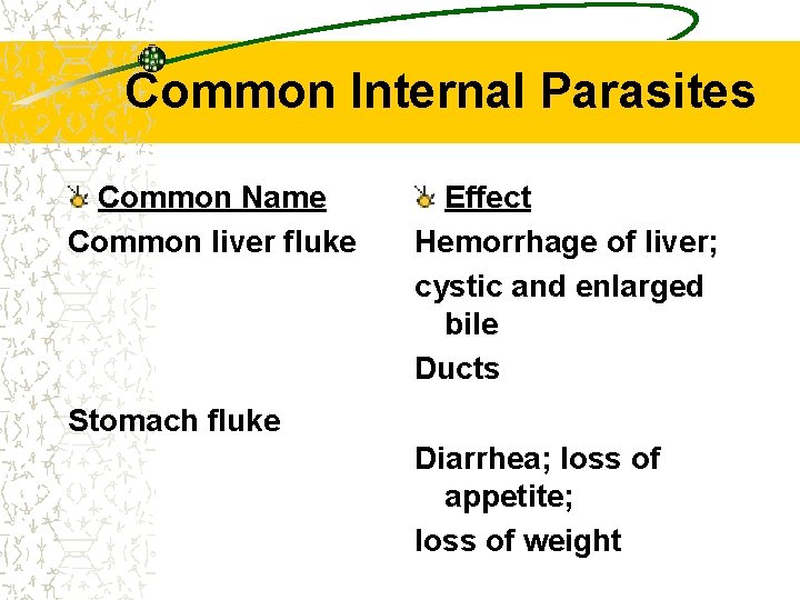 Common Internal Parasites Common Name Common liver fluke Effect Hemorrhage of liver; cystic and