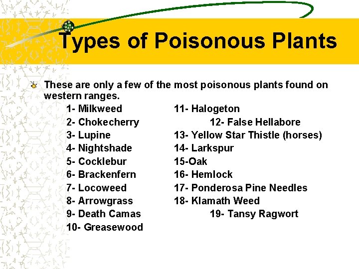 Types of Poisonous Plants These are only a few of the most poisonous plants