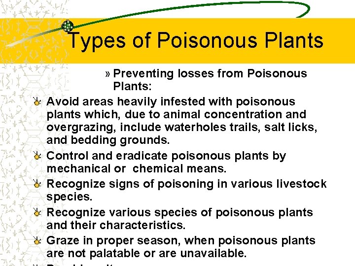 Types of Poisonous Plants » Preventing losses from Poisonous Plants: Avoid areas heavily infested