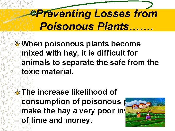 Preventing Losses from Poisonous Plants……. When poisonous plants become mixed with hay, it is