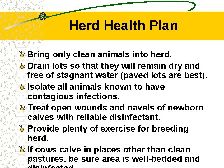 Herd Health Plan Bring only clean animals into herd. Drain lots so that they