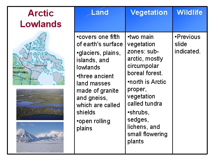 Arctic Lowlands Land Vegetation • covers one fifth of earth's surface • glaciers, plains,