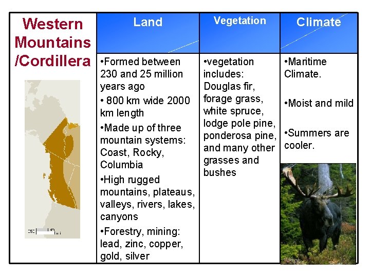 Western Mountains /Cordillera Land Vegetation • Formed between 230 and 25 million years ago