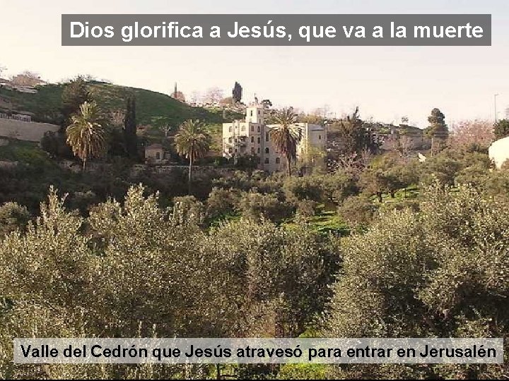 Dios glorifica a Jesús, que va a la muerte Valle del Cedrón que Jesús