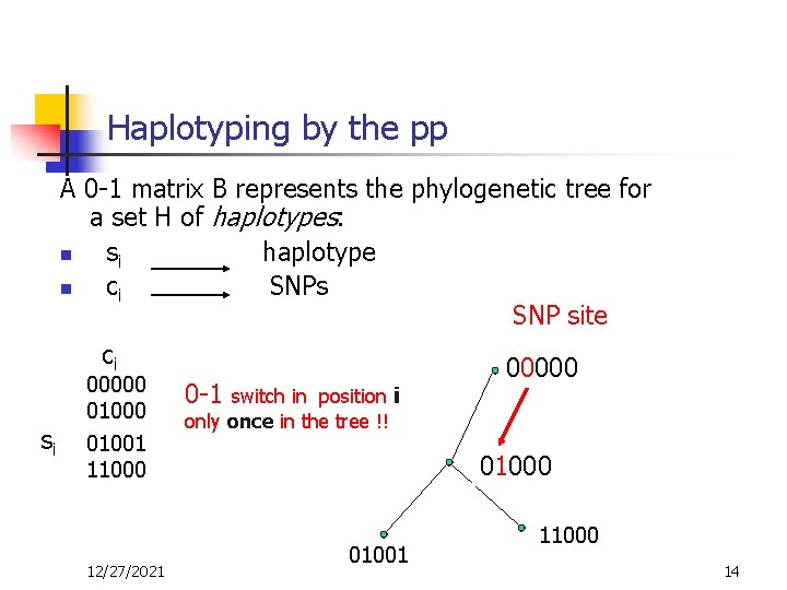 Haplotyping by the pp A 0 -1 matrix B represents the phylogenetic tree for