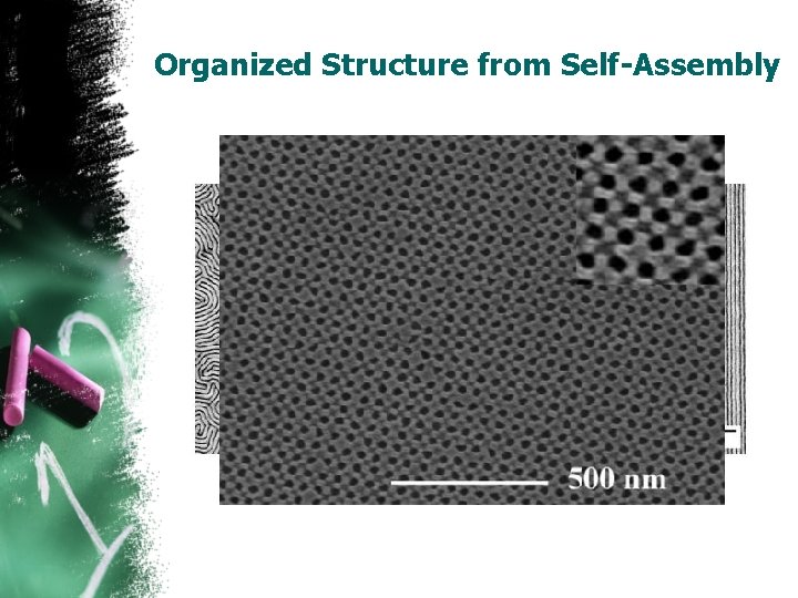 Organized Structure from Self-Assembly 