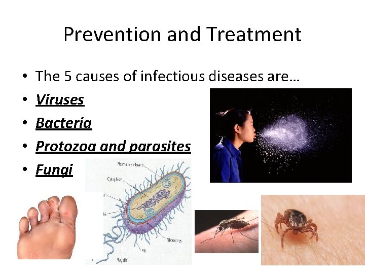 Prevention and Treatment • • • The 5 causes of infectious diseases are… Viruses