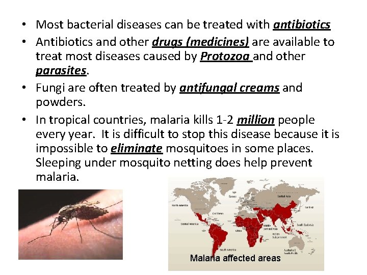  • Most bacterial diseases can be treated with antibiotics • Antibiotics and other