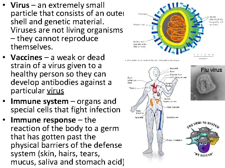  • Virus – an extremely small particle that consists of an outer shell