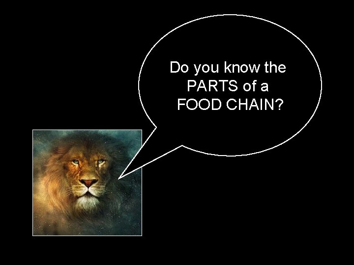 Do you know the PARTS of a FOOD CHAIN? 