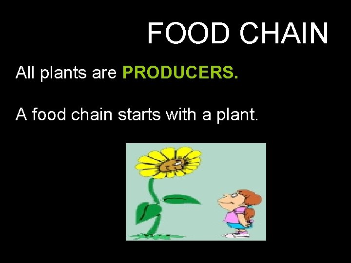 FOOD CHAIN All plants are PRODUCERS. A food chain starts with a plant. 