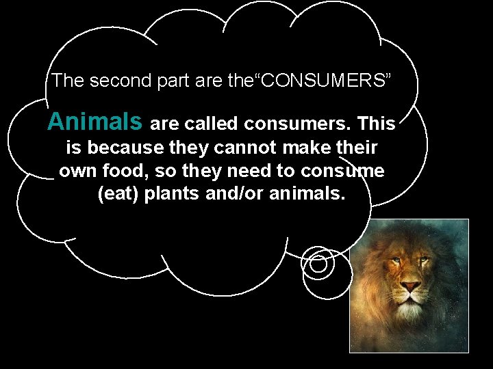 The second part are the“CONSUMERS” Animals are called consumers. This is because they cannot