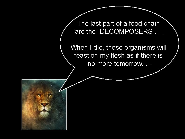 The last part of a food chain are the “DECOMPOSERS”. . . When I