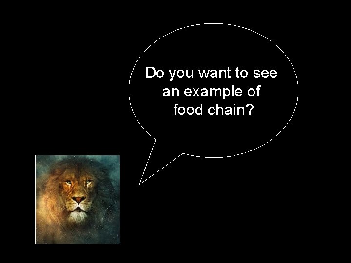 Do you want to see an example of food chain? 