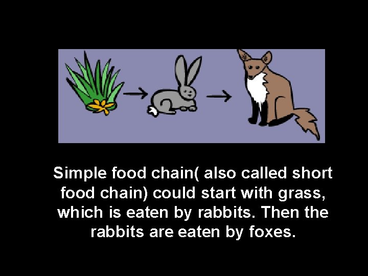 Simple food chain( also called short food chain) could start with grass, which is