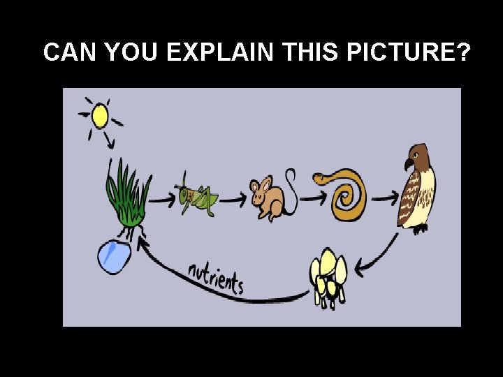 CAN YOU EXPLAIN THIS PICTURE? 