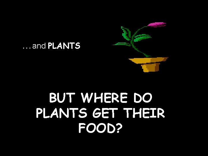 FOOD CHAIN The process of eating and being