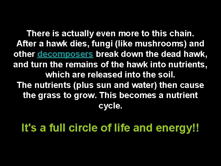 There is actually even more to this chain. After a hawk dies, fungi (like