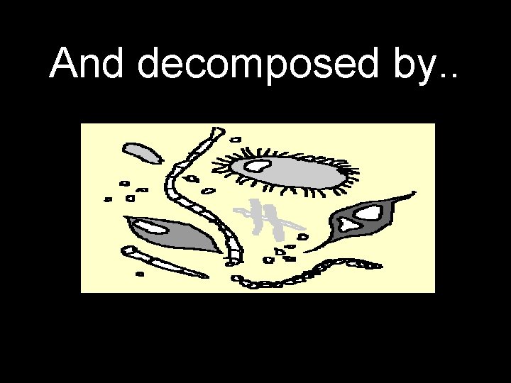 And decomposed by. . Bacteria and fungi 