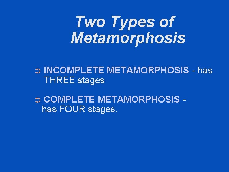 Two Types of Metamorphosis ➲ INCOMPLETE METAMORPHOSIS - has THREE stages ➲ COMPLETE METAMORPHOSIS