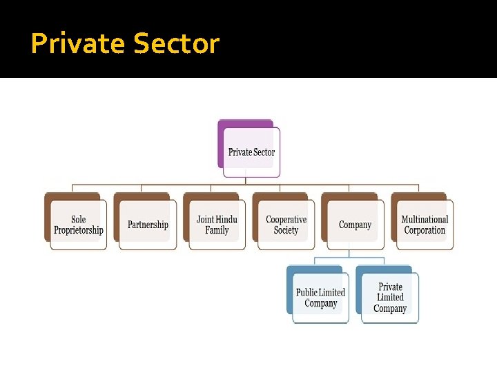 Private Sector 