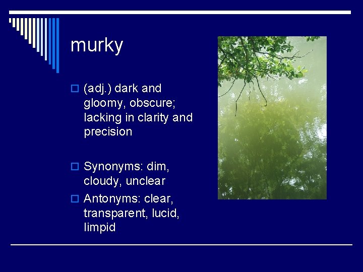 murky o (adj. ) dark and gloomy, obscure; lacking in clarity and precision o