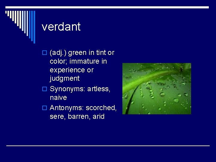 verdant o (adj. ) green in tint or color; immature in experience or judgment