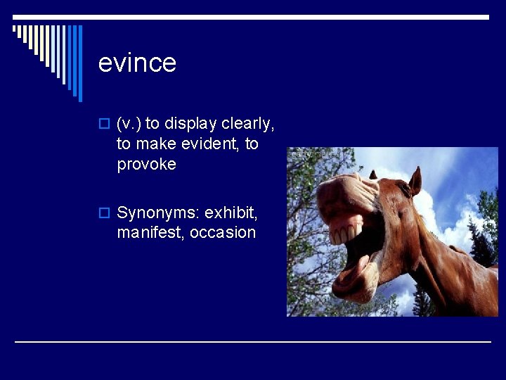 evince o (v. ) to display clearly, to make evident, to provoke o Synonyms: