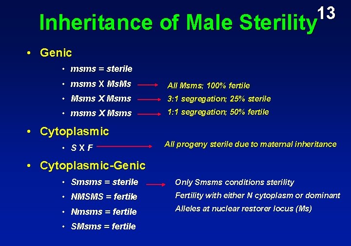 13 Inheritance of Male Sterility • Genic • msms = sterile • msms X