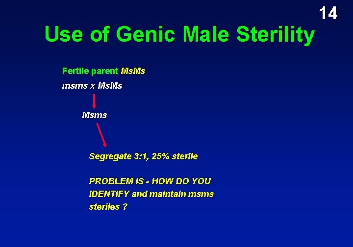 Use of Genic Male Sterility Fertile parent Ms. Ms msms x Ms. Ms Msms