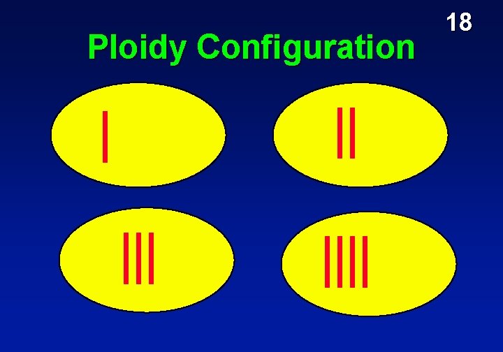 Ploidy Configuration Haploid 1 x Triploid 3 x Diploid 2 x Tetraploid 4 x