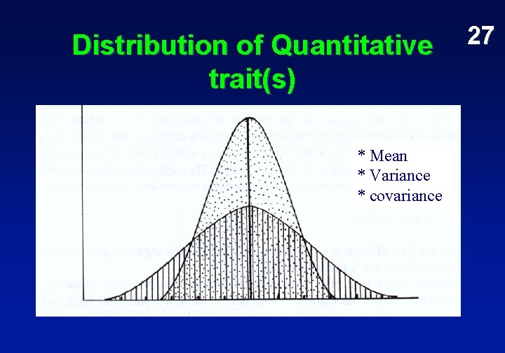 Distribution of Quantitative trait(s) * Mean * Variance * covariance 27 