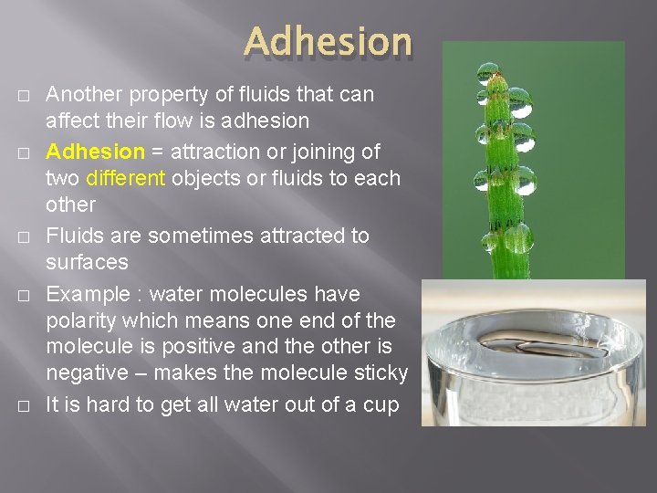 Adhesion � � � Another property of fluids that can affect their flow is
