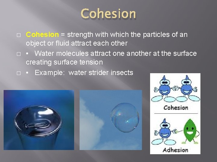Cohesion � � � Cohesion = strength with which the particles of an object