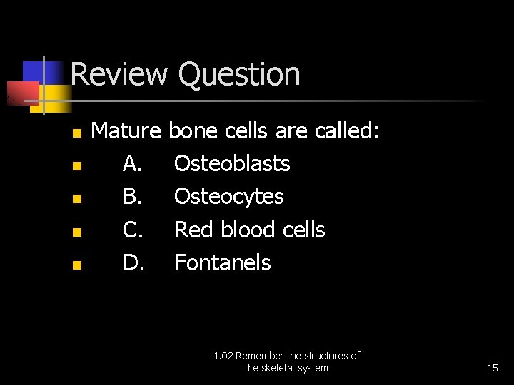 Review Question n n Mature A. B. C. D. bone cells are called: Osteoblasts