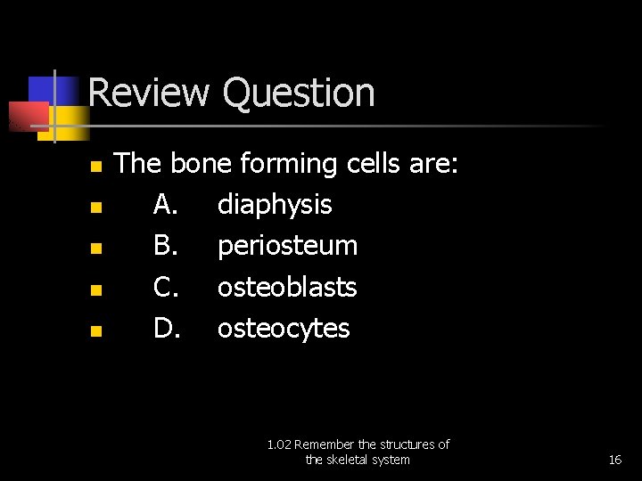 Review Question n n The bone forming cells are: A. diaphysis B. periosteum C.