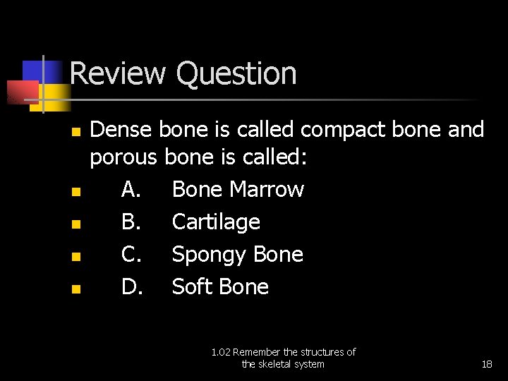 Review Question n n Dense bone is called compact bone and porous bone is