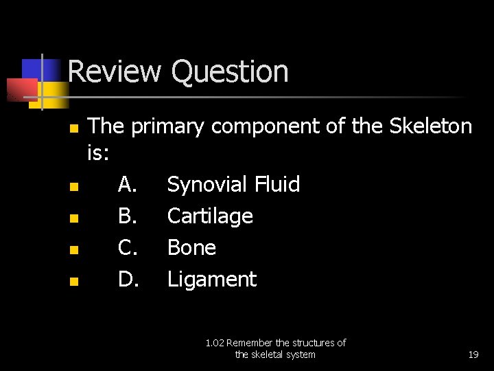 Review Question n n The primary component of the Skeleton is: A. Synovial Fluid