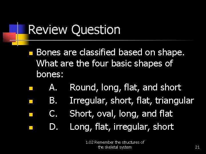 Review Question n n Bones are classified based on shape. What are the four