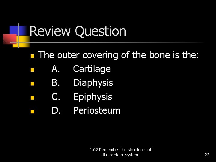 Review Question n n The outer covering of the bone is the: A. Cartilage