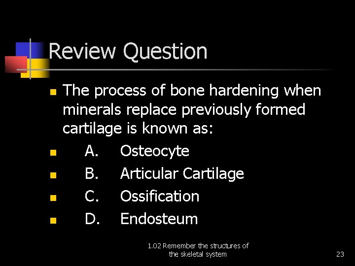 Review Question n n The process of bone hardening when minerals replace previously formed