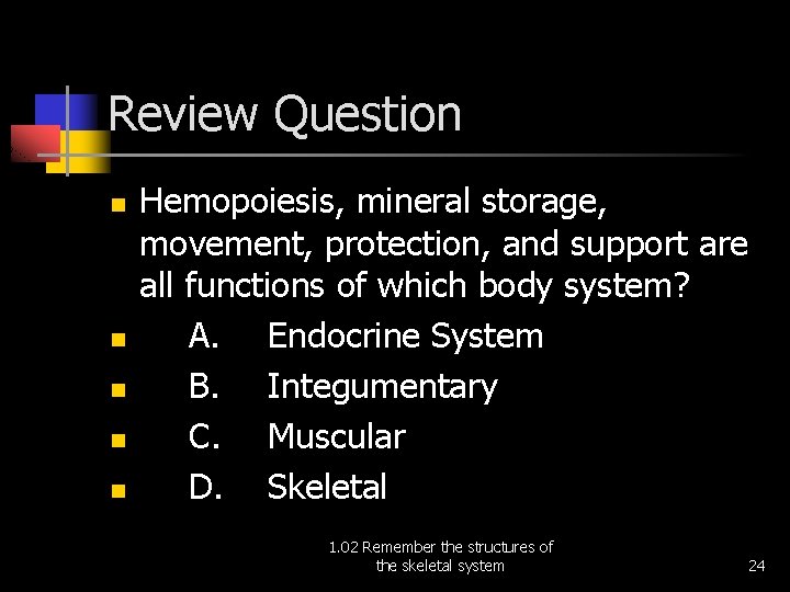 Review Question n n Hemopoiesis, mineral storage, movement, protection, and support are all functions