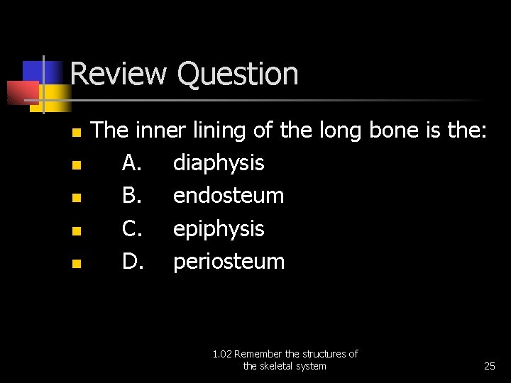 Review Question n n The inner lining of the long bone is the: A.