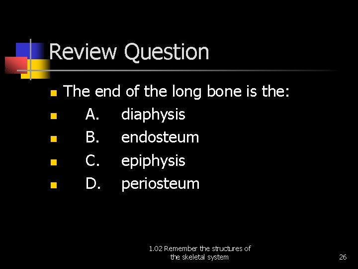 Review Question n n The end of the long bone is the: A. diaphysis