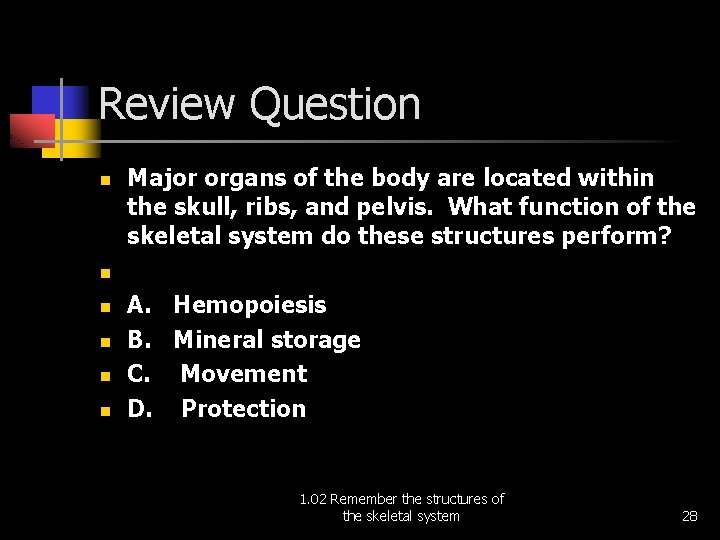 Review Question n Major organs of the body are located within the skull, ribs,