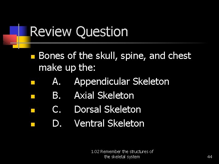 Review Question n n Bones of the skull, spine, and chest make up the: